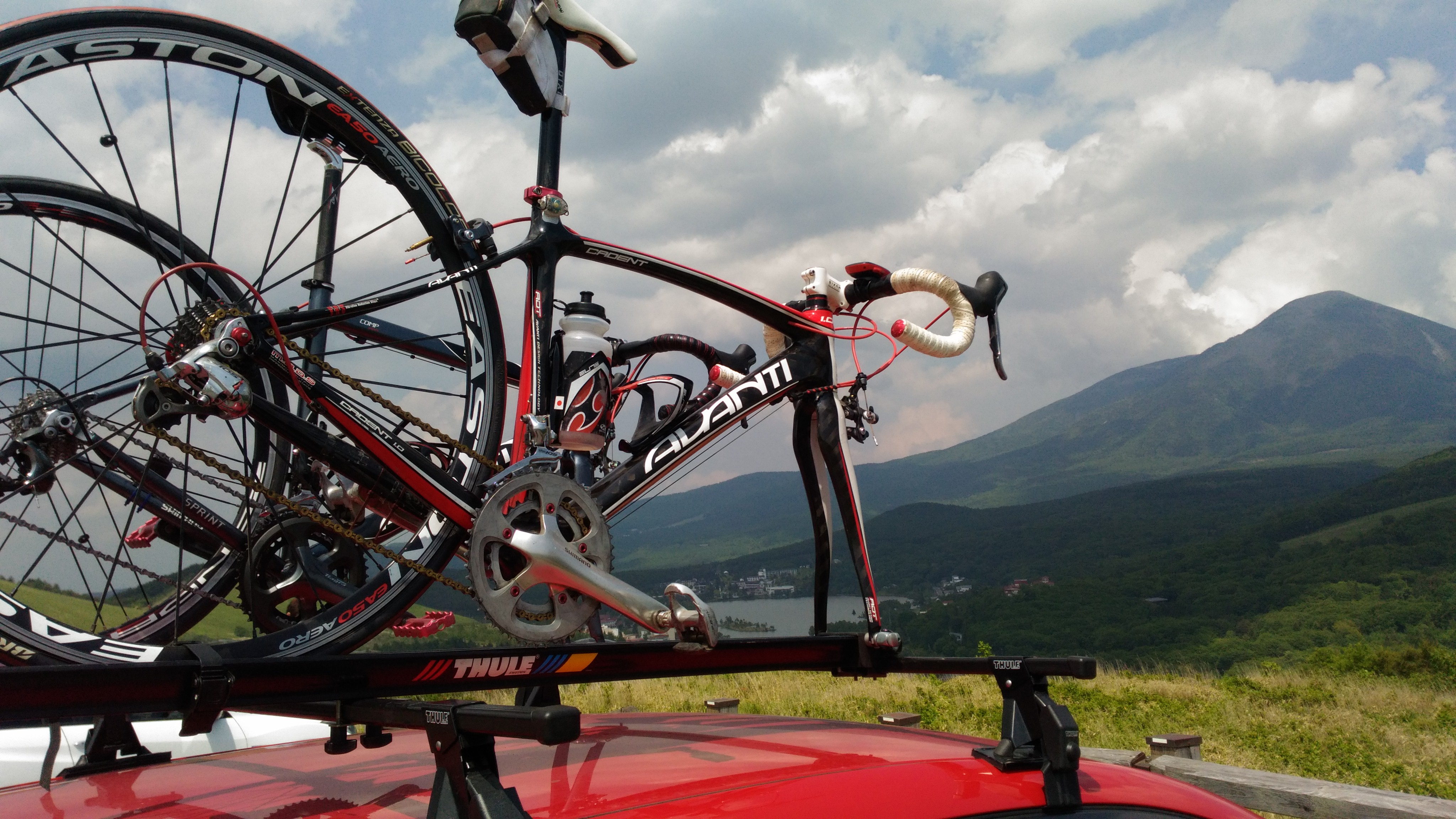 avanti bike rack