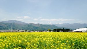 【〆切】信州花フェスタ2019 サイクリングツアー