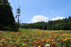 AKI GREEN CUP FESTIVAL @ 白馬岩岳リゾート
