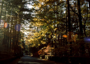 秋・グランフォンド軽井沢 @ 軽井沢千ヶ滝温泉